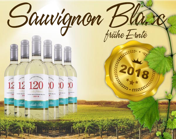 Frischer Sauvignon Blanc –Weißwein aus dem Jahrgang 2018